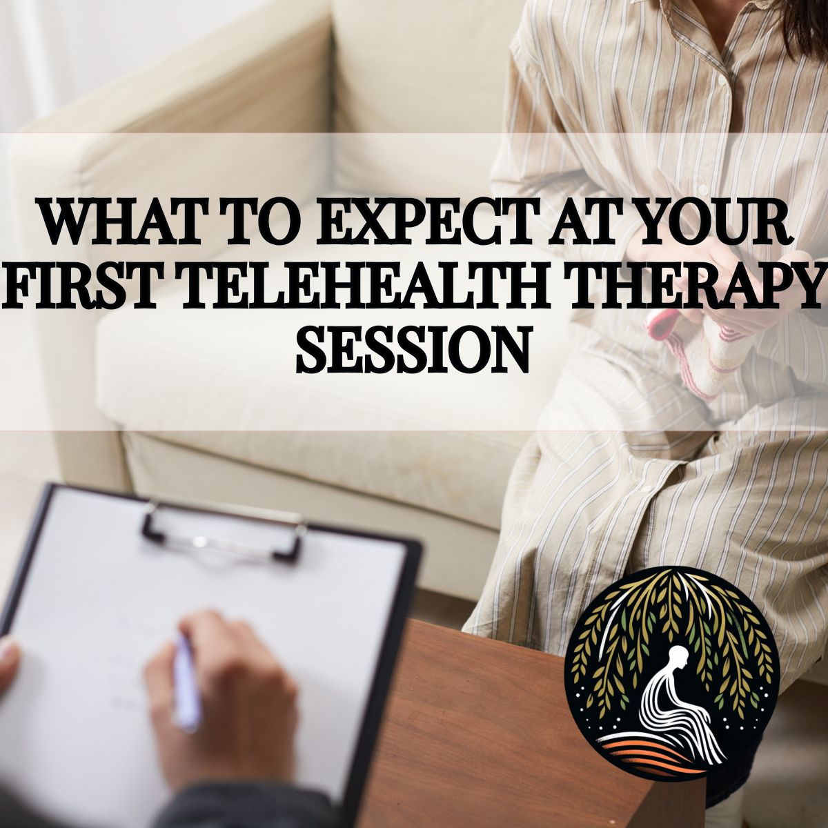 Telehealth therapy session preparation guide
